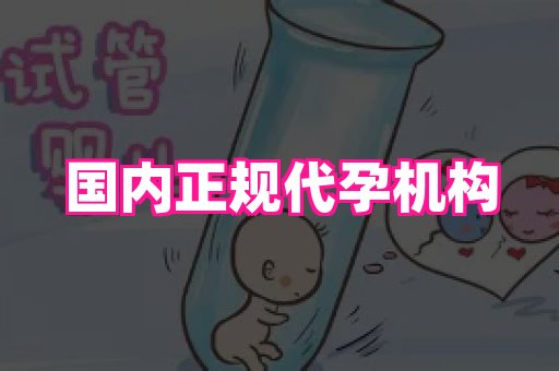 南昌助孕网 1